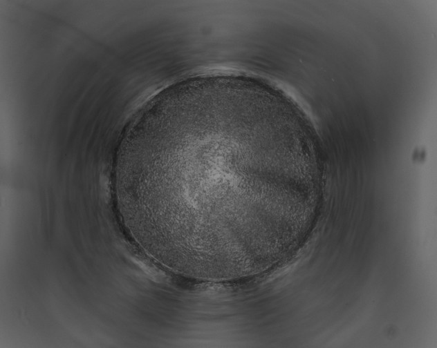 X0000089941217200707131446