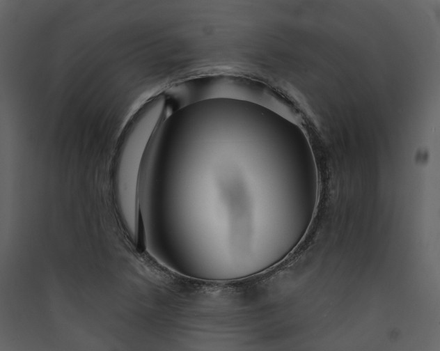 X0000089941218200707131446