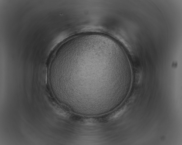 X0000089941219200707131446