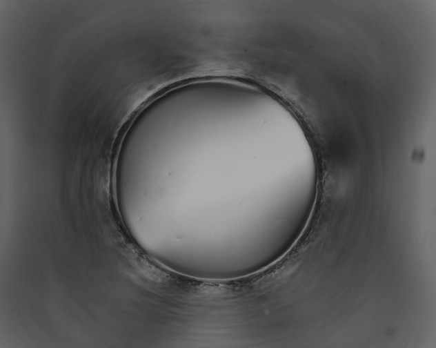 X0000089941220200707131446