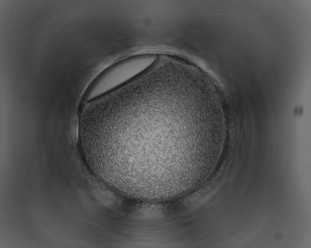 X0000089941221200707131446