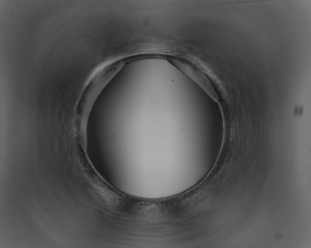 X0000089941222200707131446