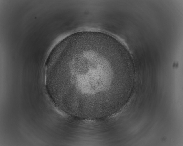 X0000089941223200707131446