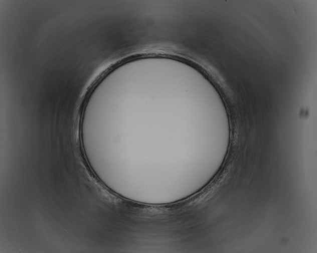 X0000089941224200707131446