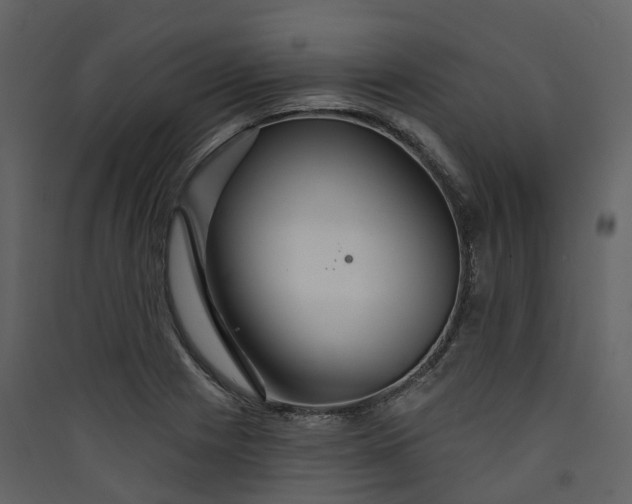 X0000089941225200707131446