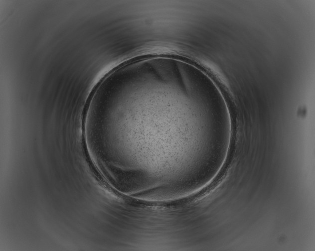 X0000089941226200707131446