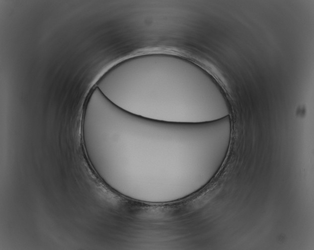 X0000089941228200707131446