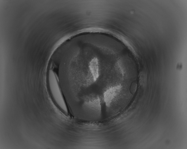 X0000089941229200707131446