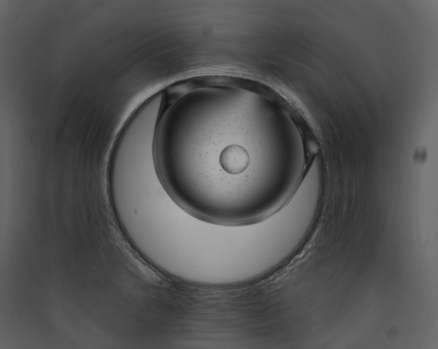 X0000089941230200707131446