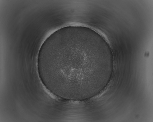 X0000089941231200707131446