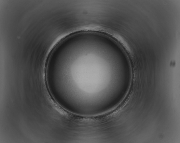 X0000089941232200707131446