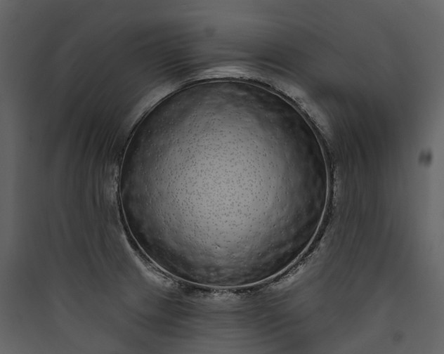 X0000089941233200707131446