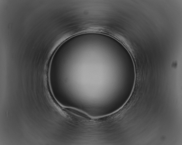 X0000089941235200707131446