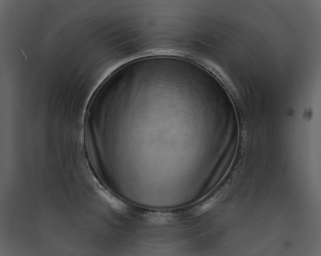 X0000089941236200707131446