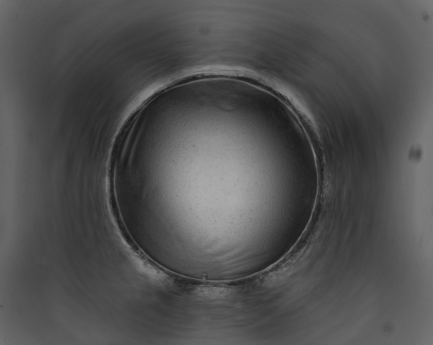 X0000089941237200707131446