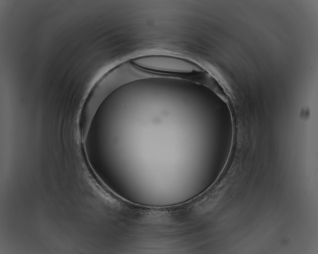 X0000089941238200707131446