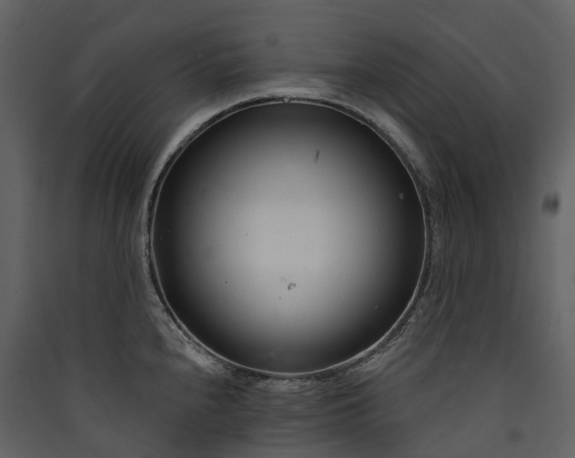 X0000089941240200707131446