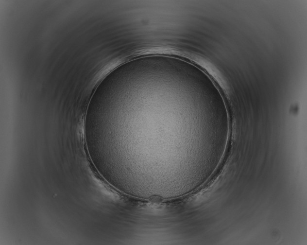 X0000089941241200707131446