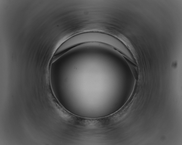 X0000089941242200707131446