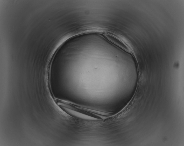 X0000089941243200707131446