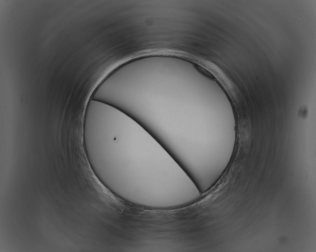 X0000089941244200707131446