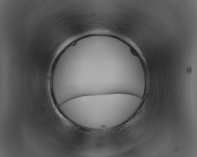 X0000089941245200707131446