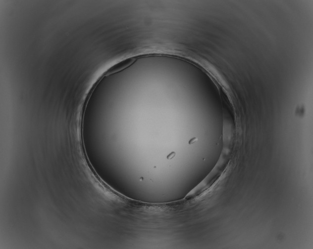 X0000089941246200707131446