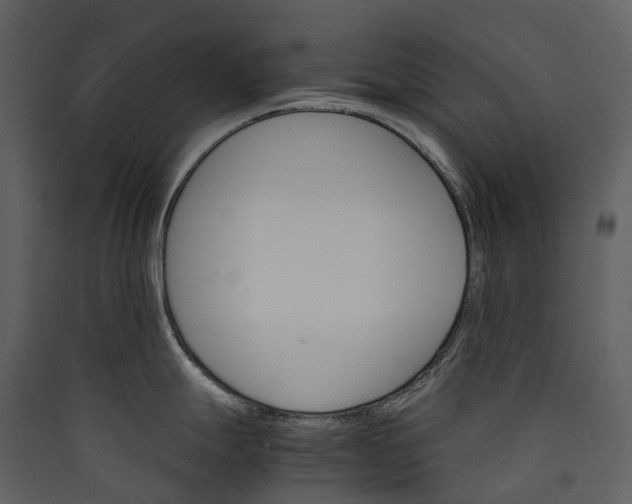 X0000089941247200707131446