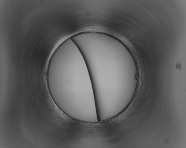 X0000089941248200707131447