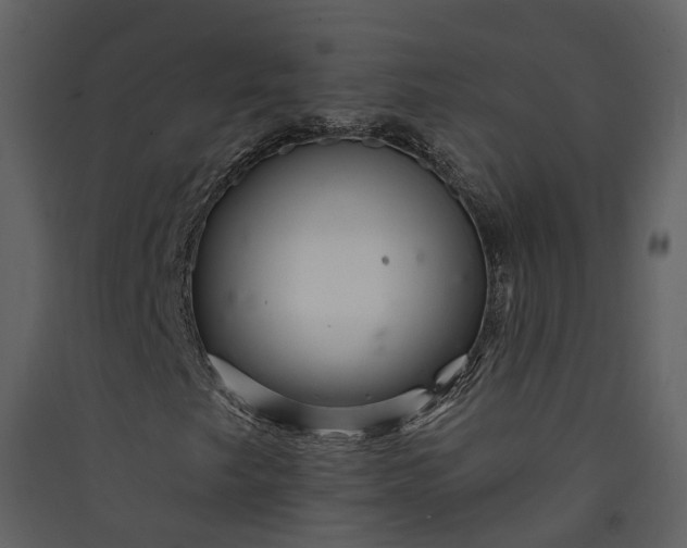 X0000089941249200707131446