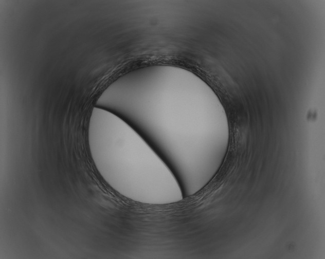 X0000089941250200707131446