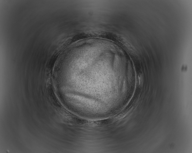 X0000089941251200707131446