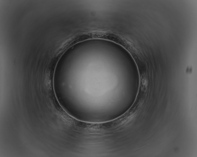 X0000089941252200707131446