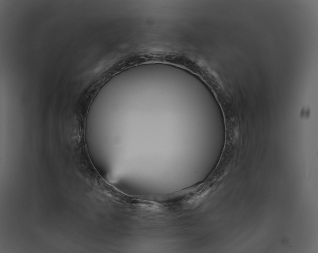 X0000089941253200707131446