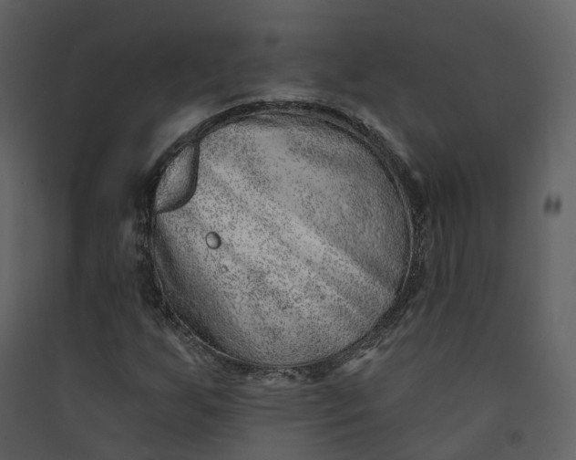 X0000089941255200707131446