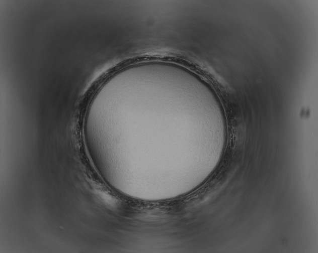 X0000089941256200707131446