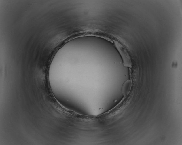 X0000089941257200707131446