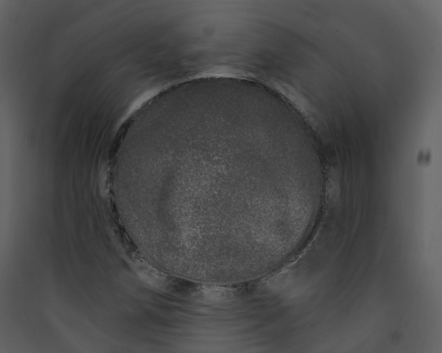 X0000089941258200707131446