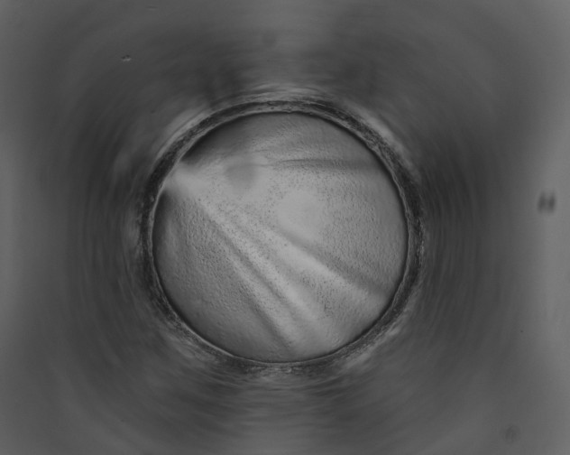 X0000089941259200707131446