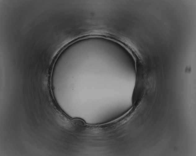 X0000089941260200707131446