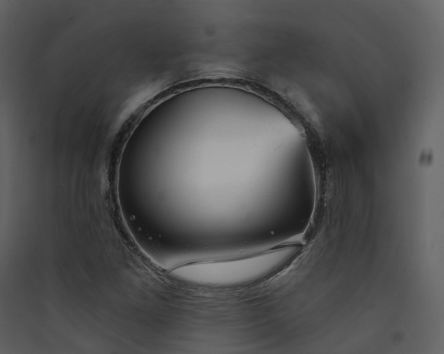 X0000089941261200707131446