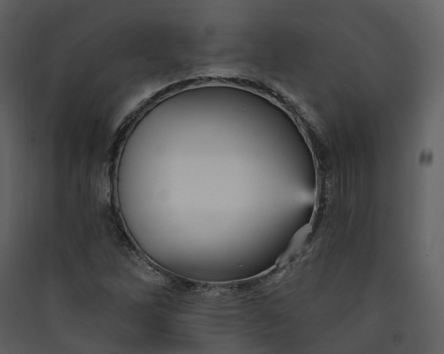 X0000089941262200707131446