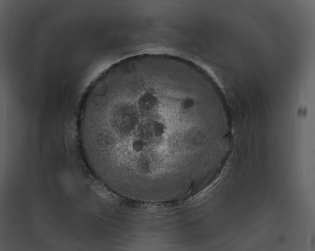 X0000089941263200707131446