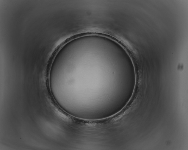 X0000089941264200707131446