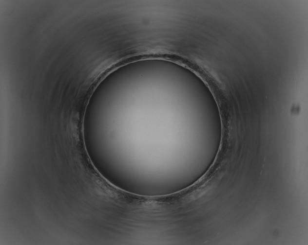 X0000089941265200707131446