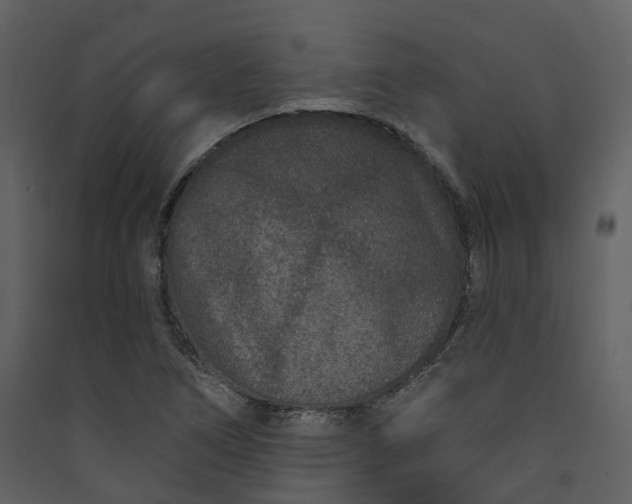 X0000089941266200707131446