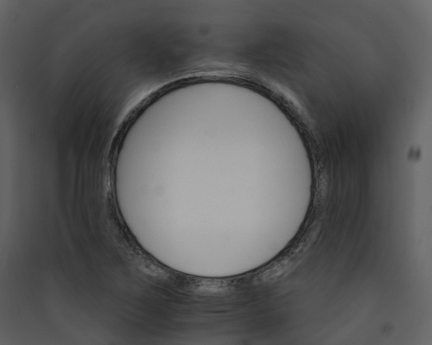 X0000089941267200707131445