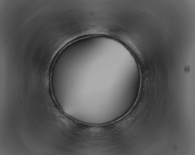 X0000089941268200707131445