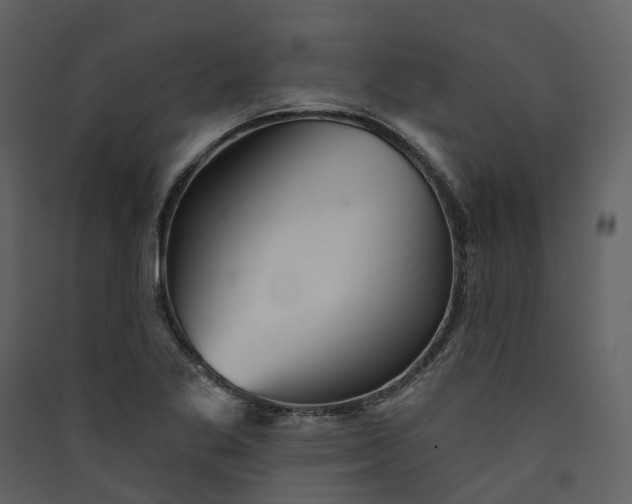 X0000089941269200707131445