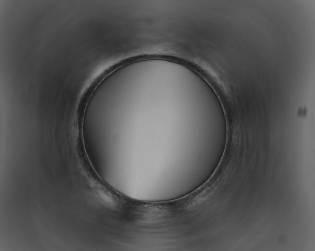 X0000089941270200707131445